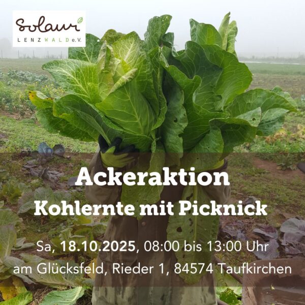 Ackeraktion "Kohlernte"