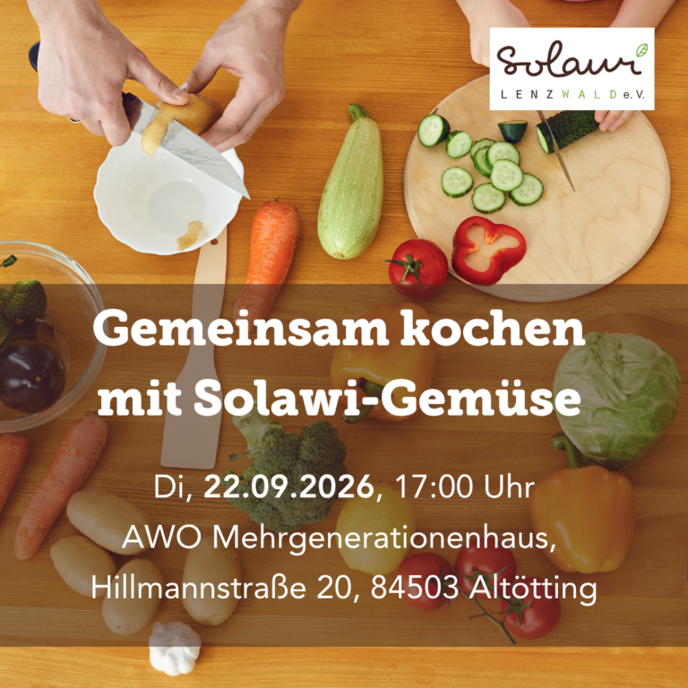 Gemeinsam kochen mit Solawi-Gemüse