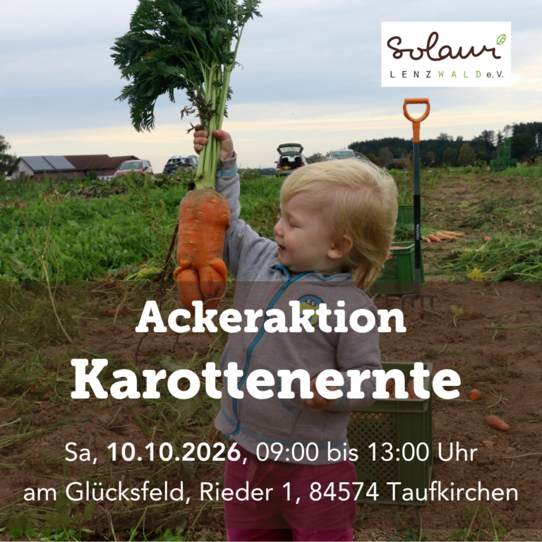 Ackeraktion "Karottenernte"