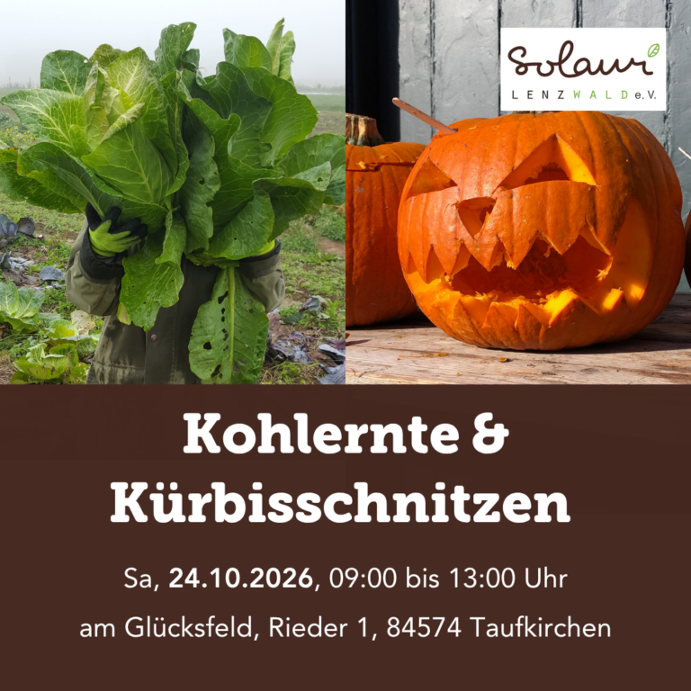 Kohlernte und Kürbisschnitzen für Kinder